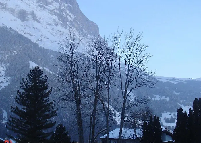 酒店 里斯登公寓酒店 格林德瓦